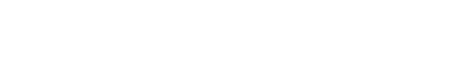 SkyDance Vascular